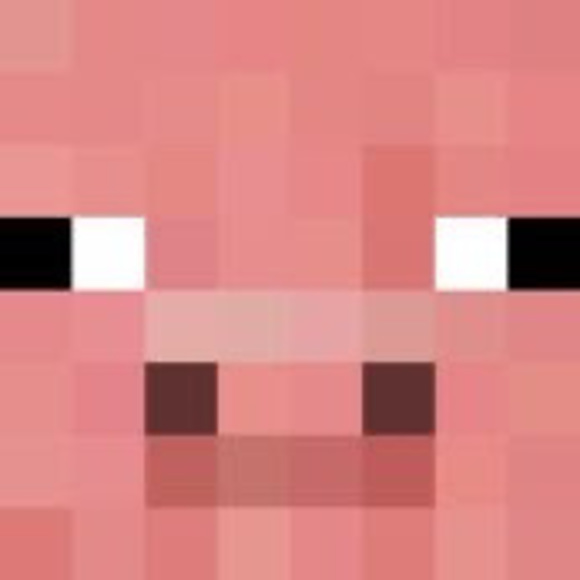 Meet your Posher, Nicole - Picture 1 of 1